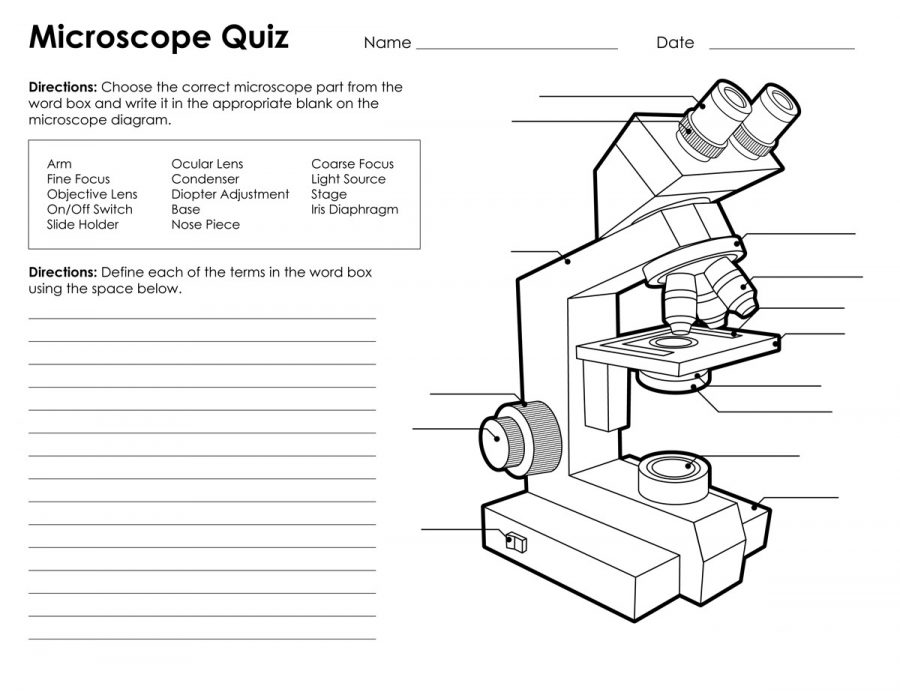 microscope diagram quiz