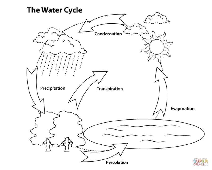 water cycle diagram printable