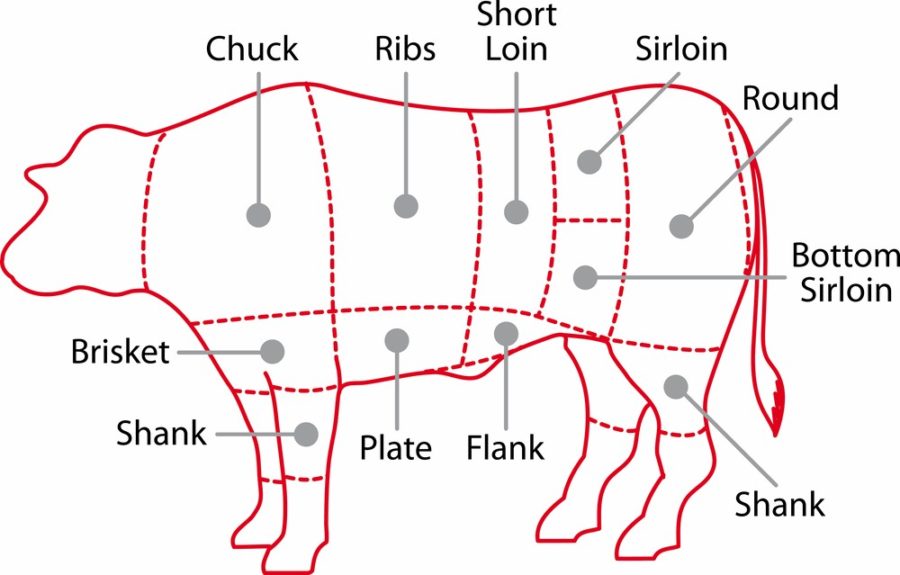 beef cuts diagram cow