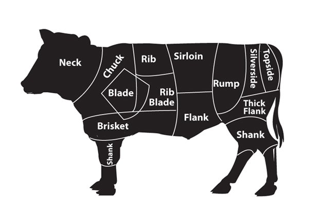 beef cuts diagram parts