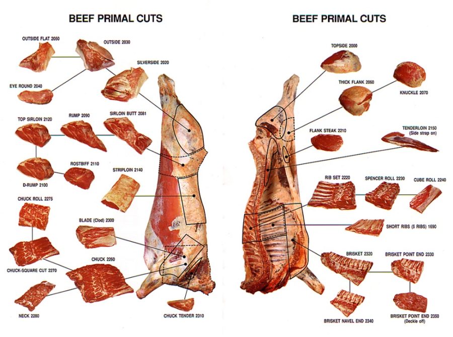beef cuts diagram primal