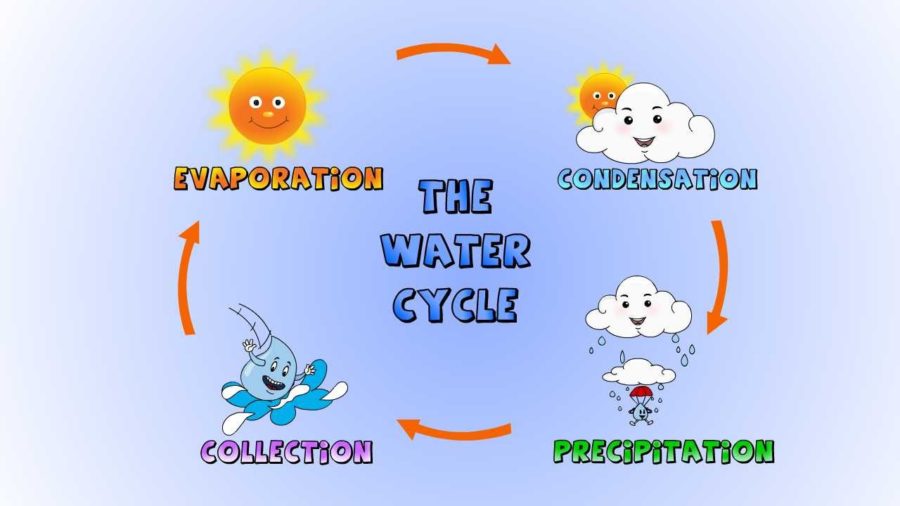 the water cycle diagram for kids