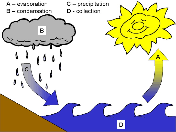 diagram of the water cycle for kids