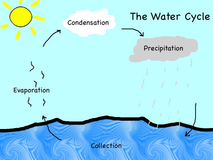 diagram of the water cycle funny