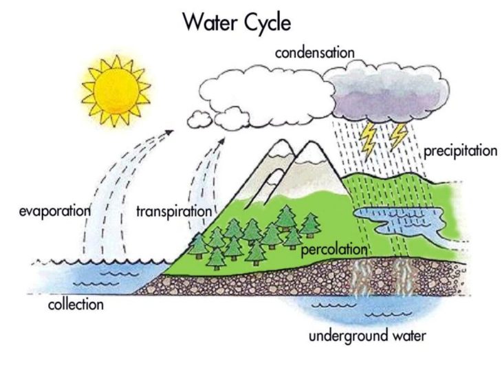 Diagrams of the Water Cycle 2017 101 Diagrams