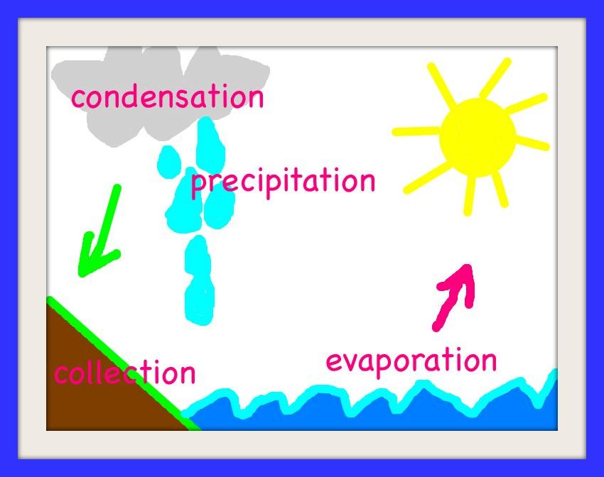 water cycle diagram for kids ideas