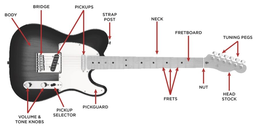 guitar parts diagram electric