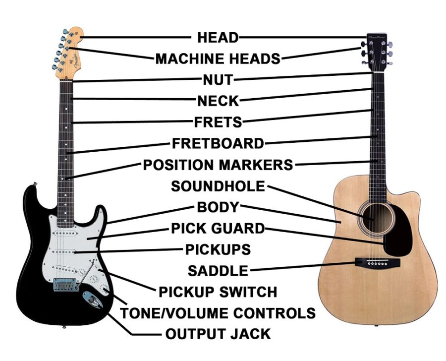 guitar parts diagram image