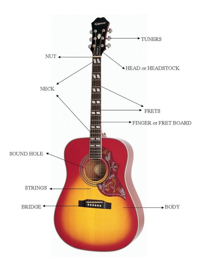 guitar parts diagram labeled