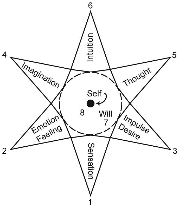 star diagram example