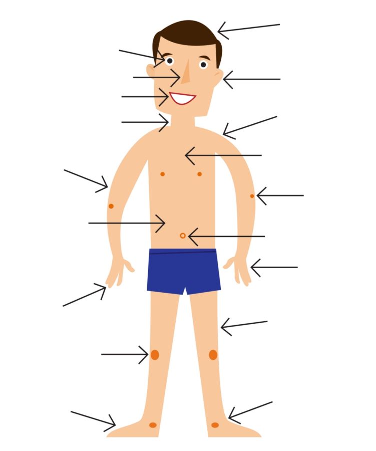 free body diagram worksheet