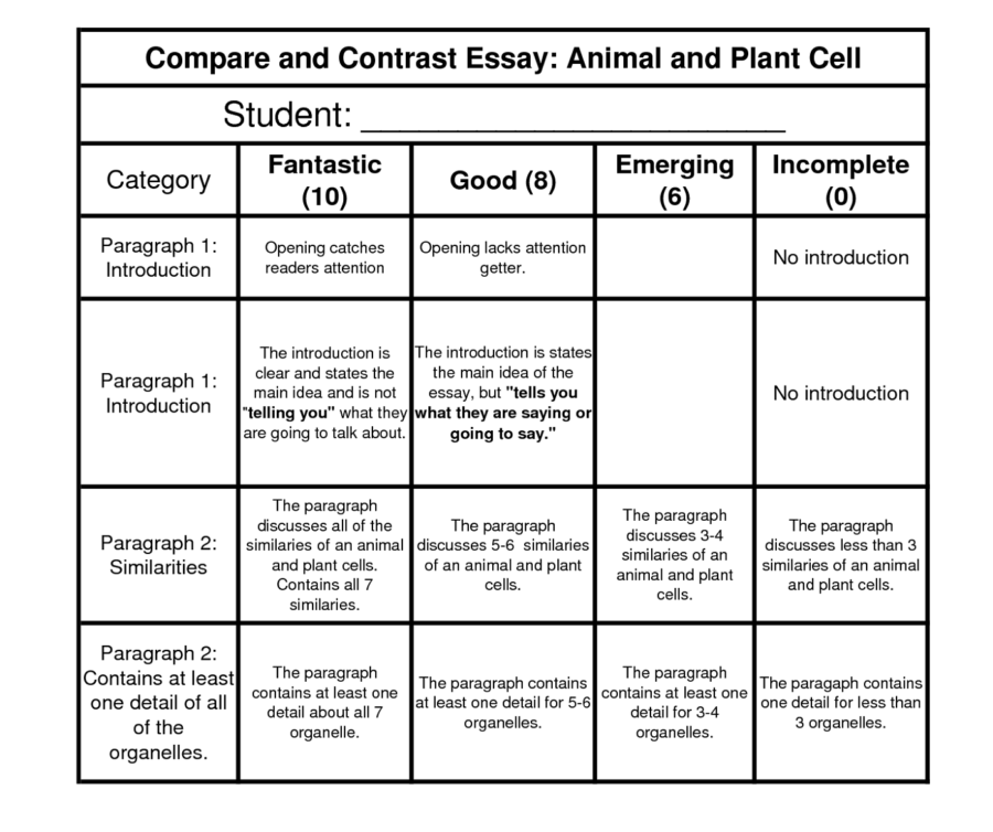 Compare and Contrast Essay Animal and Plant Cell Diagram