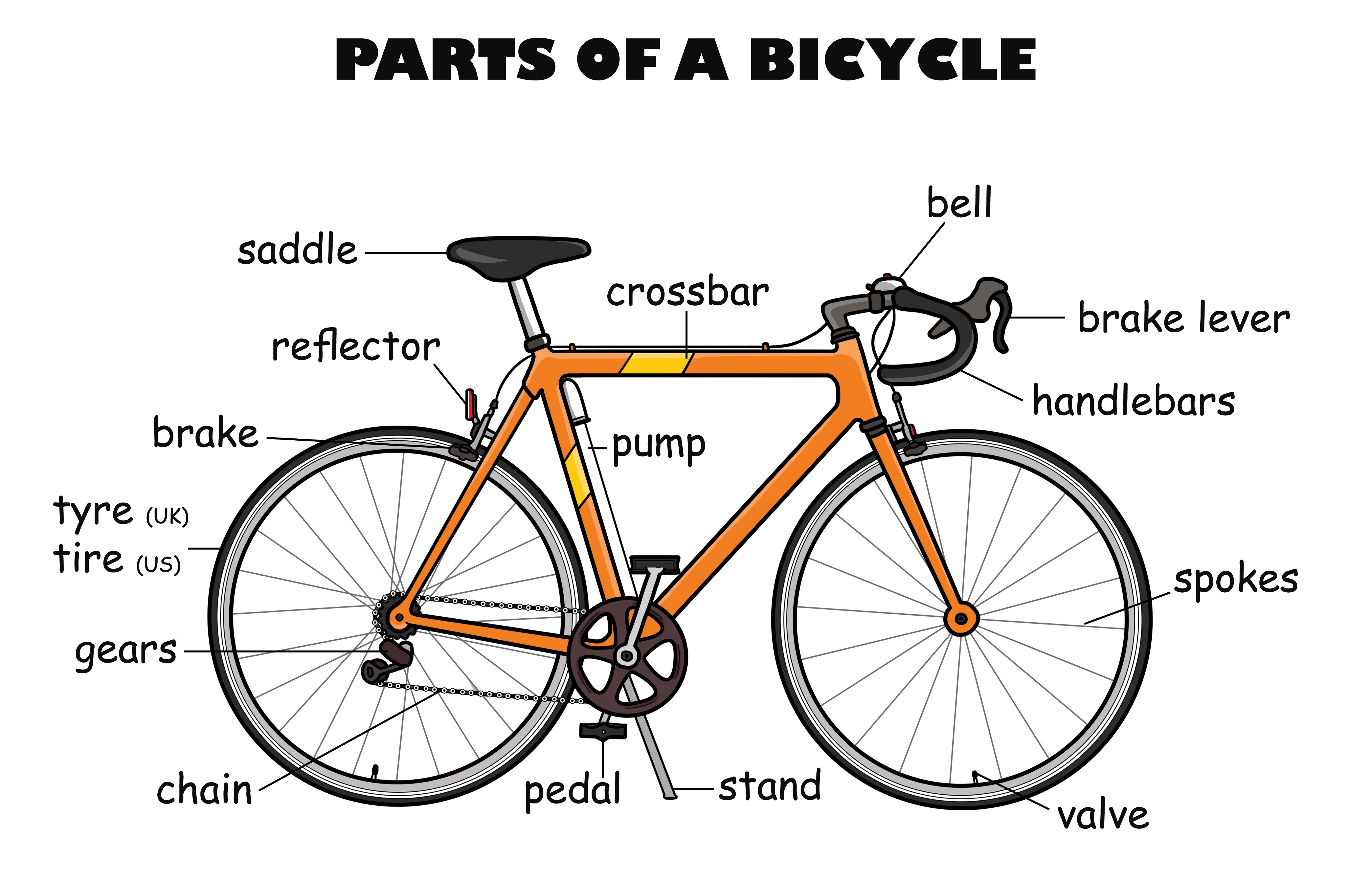 Bicycle Diagram Labeled