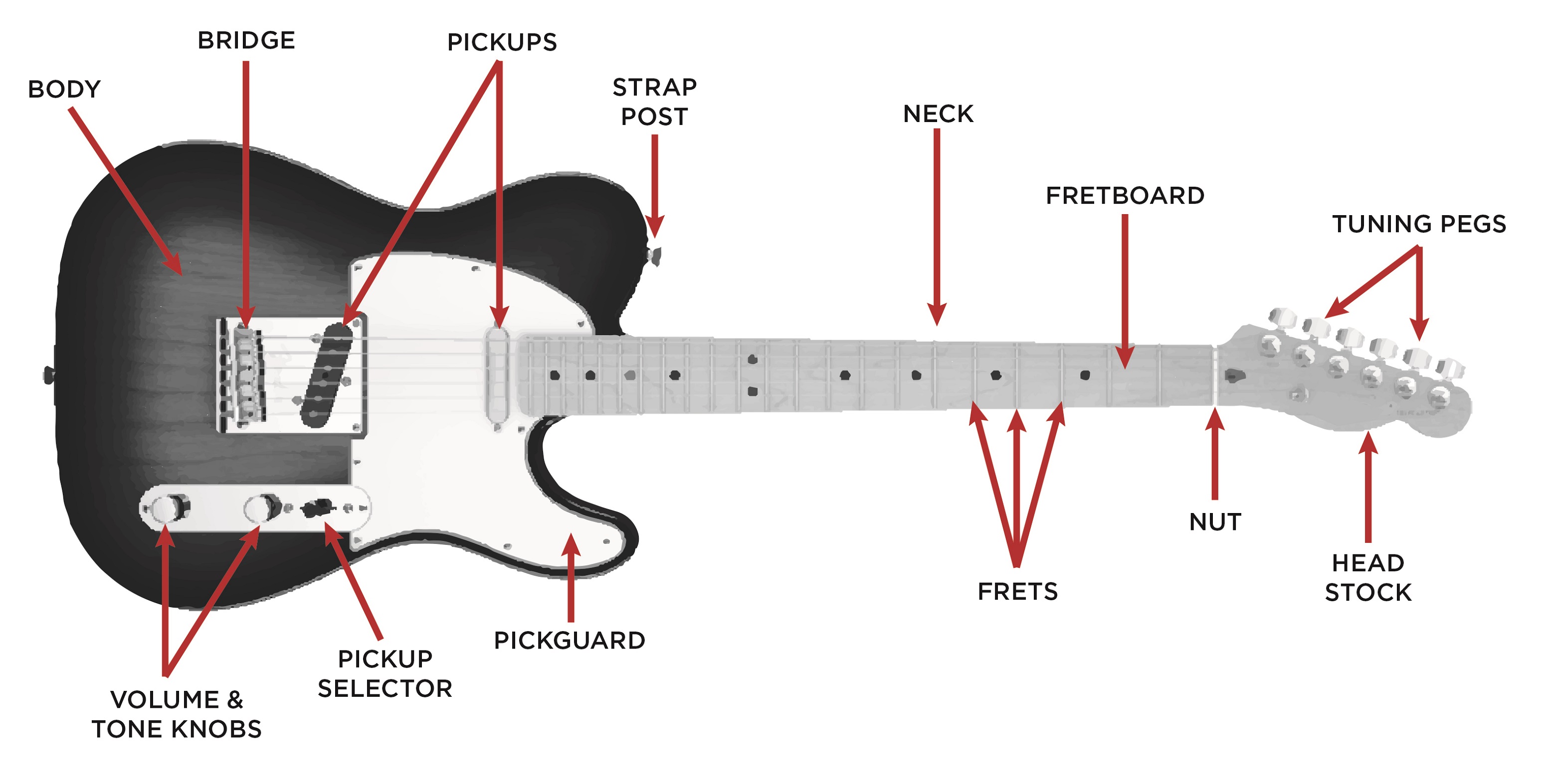 Electric Guitar Parts Diagram